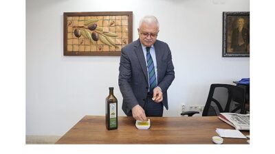 Burhaniye Belediyesi’ne ait zeytin ağaçlarından belediye personelleri tarafından büyük bir