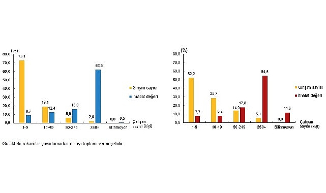 Hizmet ihracatının %62,3'ünü, hizmet ithalatının %54,5'ini büyük ölçekli girişimler yaptı
