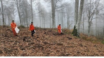 Geçtiğimiz Temmuz ayında Bursa’nın Harmancık ilçesinde meydana gelen büyük orman
