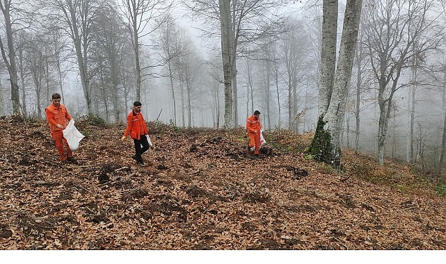Geçtiğimiz Temmuz ayında Bursa’nın Harmancık ilçesinde meydana gelen büyük orman