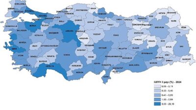 Gayrisafi Yurt İçi Hasıladan 2024 yılında en yüksek payı %29,2