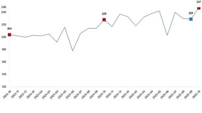      Tavuk eti üretimi 247 bin 392