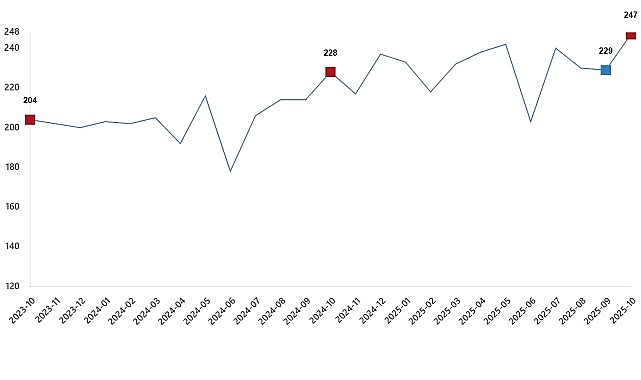      Tavuk eti üretimi 247 bin 392