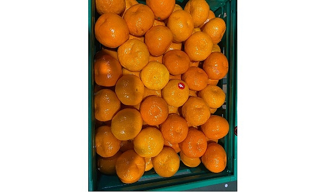 Yaş meyve sebze sektöründe ihracat lideri olan mandalina, 2025 yılında