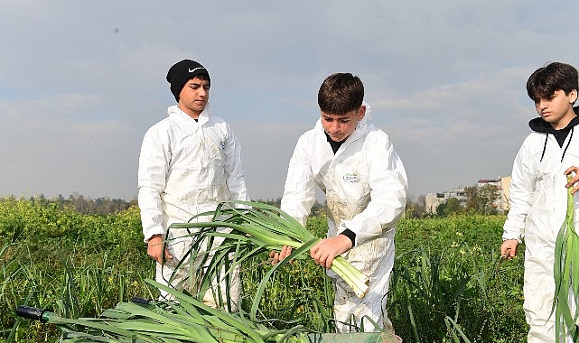 Osmangazi Belediyesi, toprağa emekle dokunarak ilaçsız ve tamamen doğal olarak