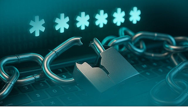 2024 yılında yapılan bir araştırmaya göre, ortalama bir internet kullanıcısının