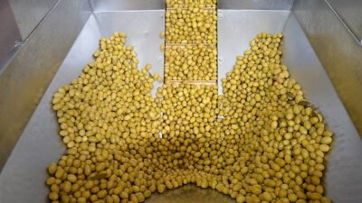 Son 3 yılda alınan yanlış kararlarla ihracatı durma noktasına gelen