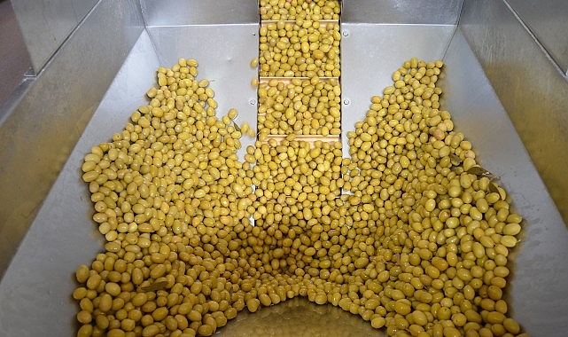 Son 3 yılda alınan yanlış kararlarla ihracatı durma noktasına gelen