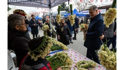 Karaburun’la özdeşleşen ve eşsiz kokusuyla her yıl heyecanla beklenen nergis