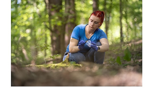 British Council, küresel ölçekte altıncı kez hayata geçirdiği Women in STEM