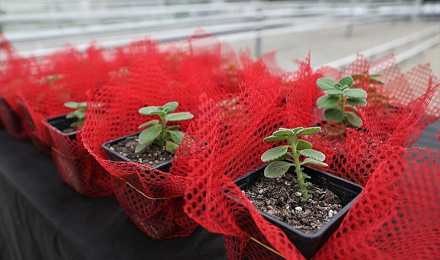 Keçiören Belediyesi, bilinçli üretimi artırmak ve doğru tarım uygulamalarını yaygınlaştırmak
