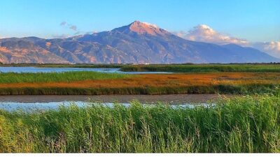 Türkiye’nin en çok kuş türü kaydedilmiş sulak alanlarından biri olan