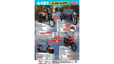 Türkiye’nin 81 ilinde ve tüm ilçelerinde 13.