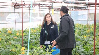      Antalya Büyükşehir Belediyesi, Kumluca ve Finike