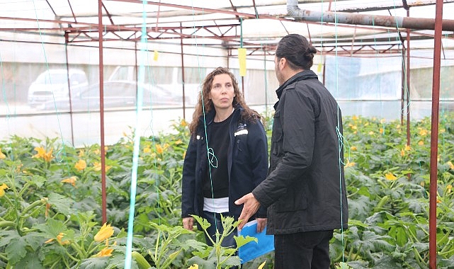      Antalya Büyükşehir Belediyesi, Kumluca ve Finike