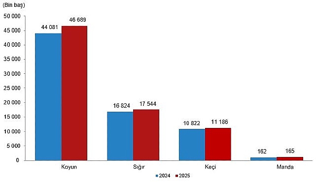 Büyükbaş hayvan sayısı bir önceki yıla göre %4,3 artarak 17