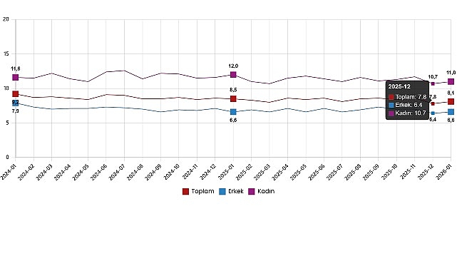      Mevsim etkisinden arındırılmış işsizlik oranı %8,1