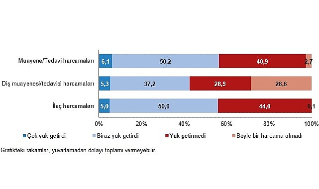      "Sağlık Modülü" adlı özel konulu çalışma,