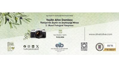 Binlerce yıldır barışın sembolü olan zeytin ağacı, Anadolu’da kök salmış