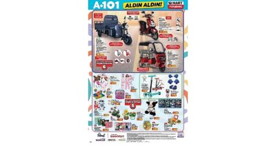 Türkiye’nin 81 ilinde ve tüm ilçelerinde 13.