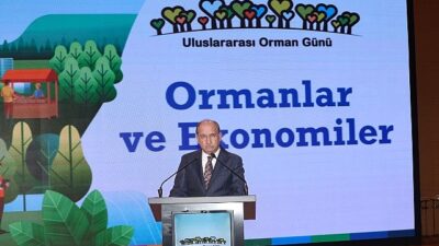 Ormanların sürdürülebilir kalkınma, çevresel sürdürülebilirlik ve insan refahı açısından taşıdığı