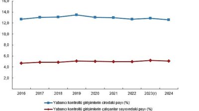      Toplam cironun %12,6'sı yabancı kontrollü girişimler