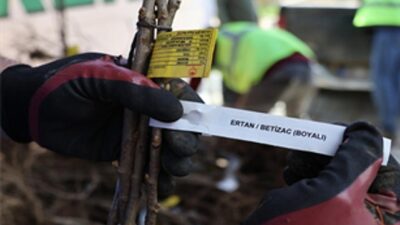 İzmir Büyükşehir Belediyesi, Beydağlı çiftçilerin ekonomik risklerini azaltmaya yönelik iki