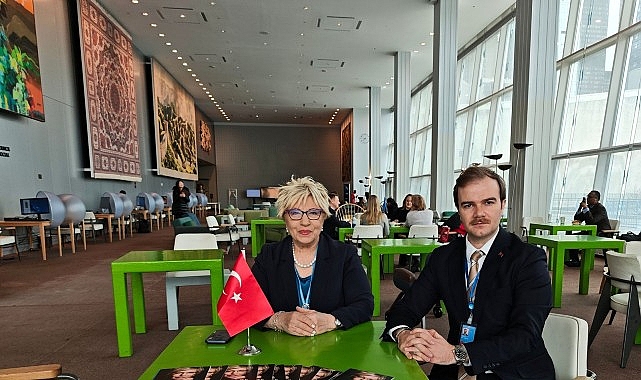 Birleşmiş Milletler Ekonomik ve Sosyal Konseyi (United Nations Economic and