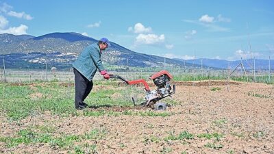     Antalya Büyükşehir Belediyesi hem geleneksel ipek