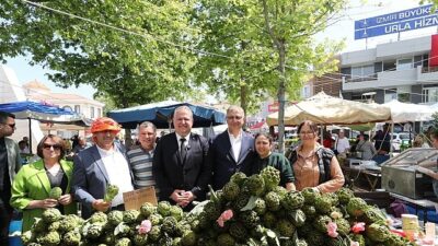 Ege’nin bereketli topraklarında yetişen enginar, bu yıl da Urla’da yalnızca