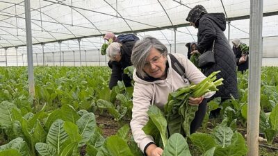 Kocaeli Büyükşehir Belediyesi’nin İzmit Saat Kulesi yanında hizmete sunduğu “İzmit