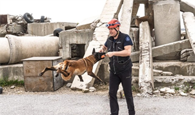 İzmir Büyükşehir Belediyesi İtfaiyesi K9 Birimi, Pako Sokak Hayvanları Kampüsü’nden