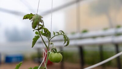 Mersin Yenişehir Belediyesi ve Yahya Akel Fen Lisesi iş birliğiyle