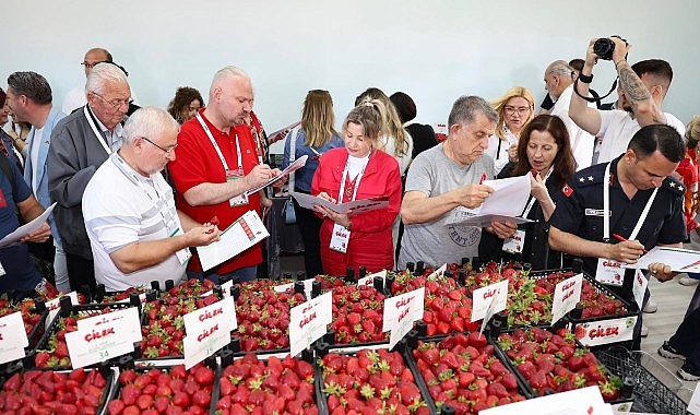 Menemen'de düzenlenen 16.