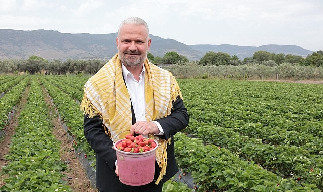 Menemen'in lezzeti ve kokusuyla meşhur Emiralem çileği için festival zamanı