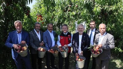 Türkiye şeftali ve nektarinde bereketli bir sezona hazırlanıyor.