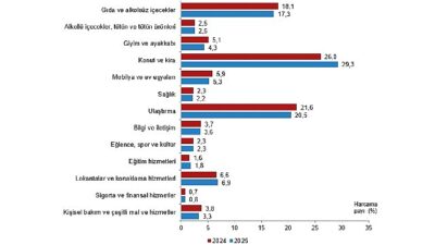      Hanehalkı bütçesinden en fazla pay konut