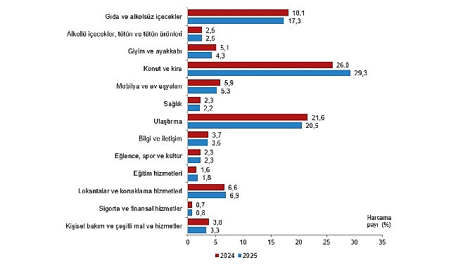      Hanehalkı bütçesinden en fazla pay konut