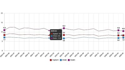      Mevsim etkisinden arındırılmış işsizlik oranı %8,2