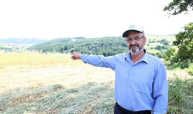 Kocaeli Büyükşehir Belediyesi’nin yüzde 75 hibeli süt otu tohumu desteğinden