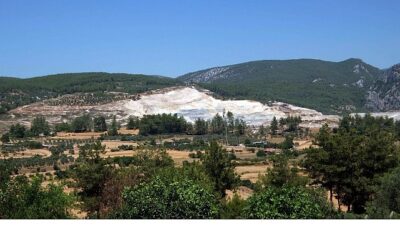 TEMA Vakfı, 5 Haziran Dünya Çevre Günü kapsamında yaptığı açıklamada