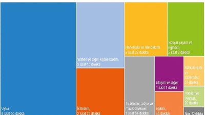 Türkiye İstatistik Kurumu tarafından daha önce 2006 ve 2015(*) yıllarında uygulanan
