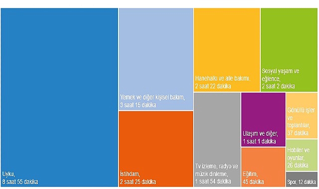 Türkiye İstatistik Kurumu tarafından daha önce 2006 ve 2015(*) yıllarında uygulanan